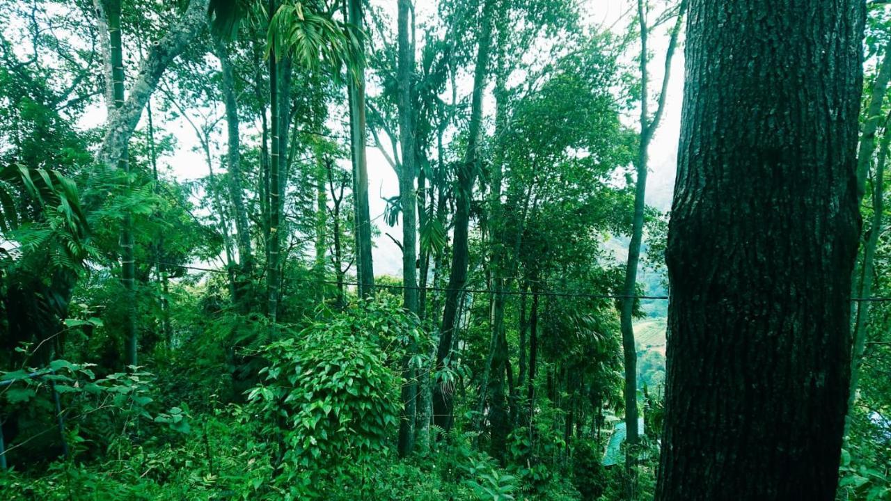Dulmini Homestay Ella Luaran gambar