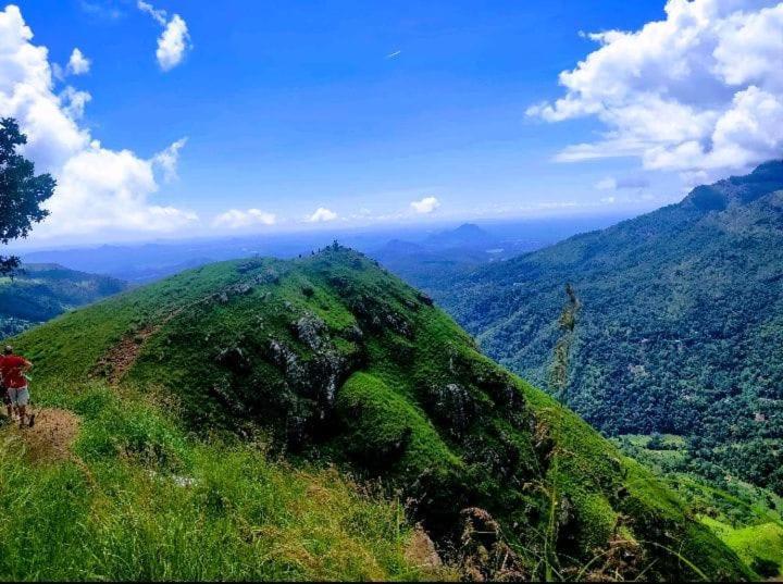 Dulmini Homestay Ella Luaran gambar