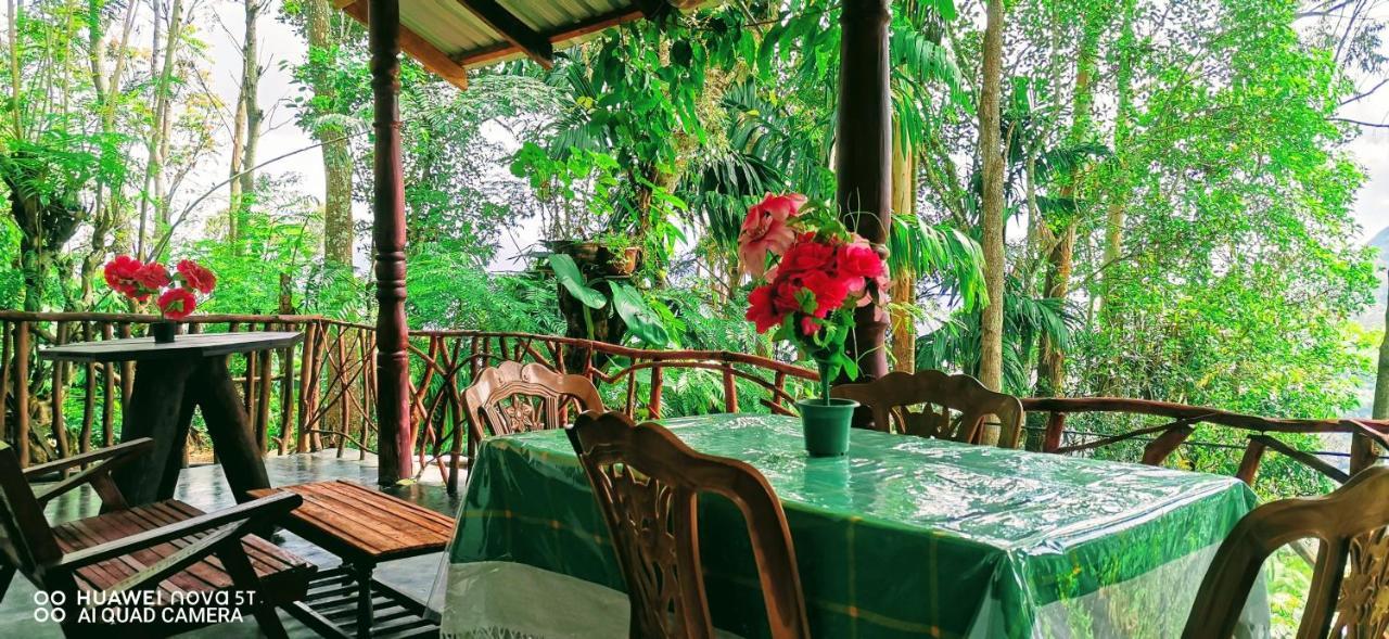 Dulmini Homestay Ella Luaran gambar